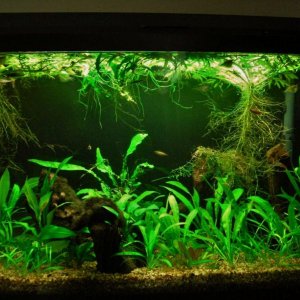 29g Sep 19-11.JPG