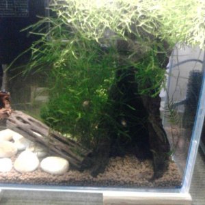 IMG20151028055820.jpg