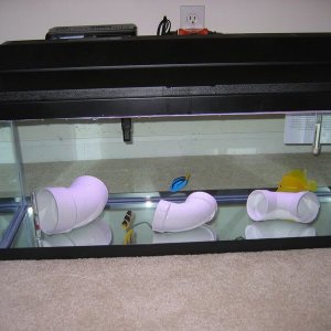 qtank3.jpg