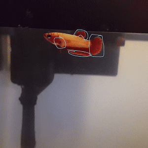 Screenshot_2016-01-01-15-27-40.png