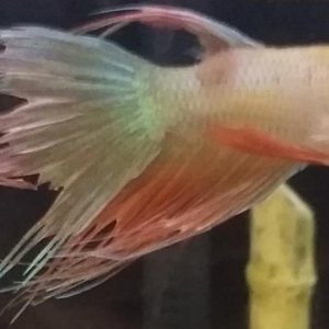 20160317_213013.jpg