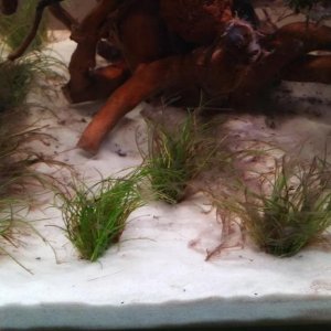 20160315_190744.jpg