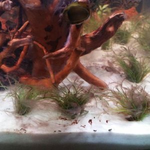 20160315_190750.jpg