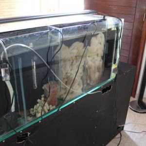 2378_img_4933.jpg