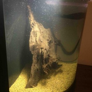 Wood in pod 1.jpg