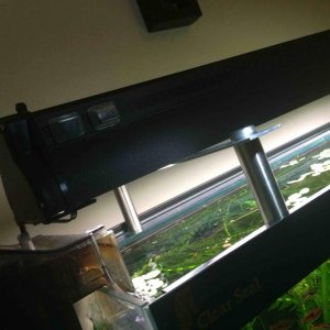 Light fixture 3.jpg