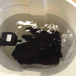Wood in bucket.jpg