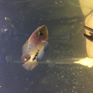 20160709_013602707_iOS.jpg