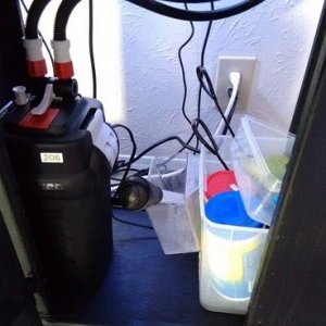 canister_filter_sm.jpg