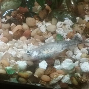 20161005_221422.jpg