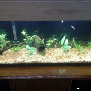 20161024_170514.jpg