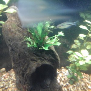 20161030_170408.jpg