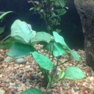 20161029_175603.jpg