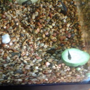 20161101_095424.jpg