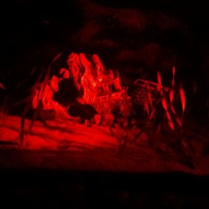 20161113_071837.jpg