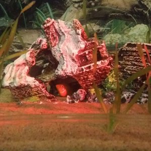 20161113_072739.jpg