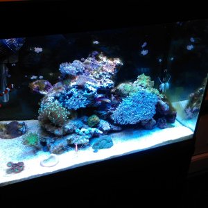 IMAG0054.jpg