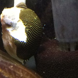 IMG_1976.JPG