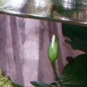 20161209_153337.jpg