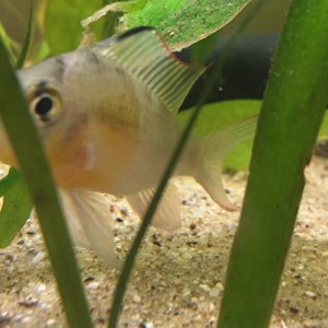 IMG_3888.JPG