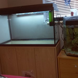 Fish Tank.jpg