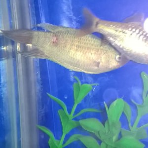 WP_20170102_23_08_13_Pro.jpg