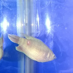 WP_20170102_23_08_03_Pro.jpg