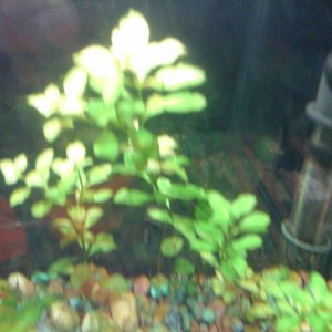 20170105_200944.jpg