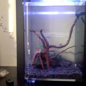 Photo on 1-7-17 at 11.08 AM.jpg