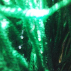 20170110_135313.jpg