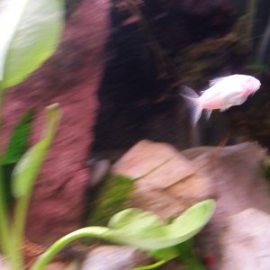 20170116_172925.jpg