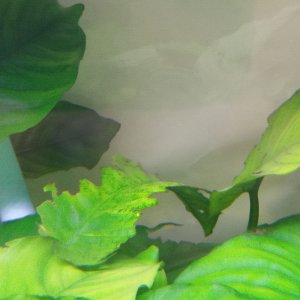 IMG20170123152024.jpg