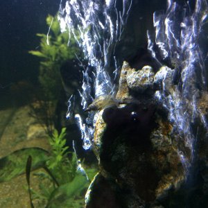 IMG_0593.JPG