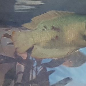 20170303_173452.jpg