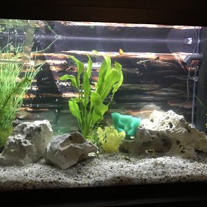 tank1.jpg