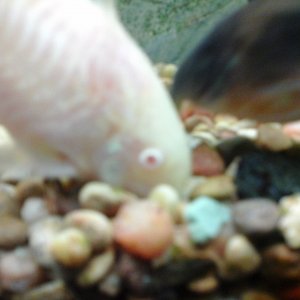 20170313_130040.jpg