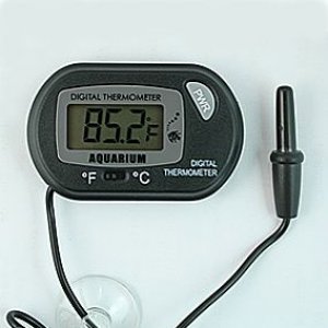 digital thermometer.jpg