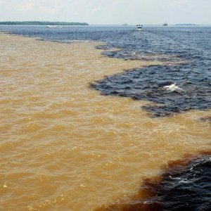Rio Negro & Amazon meeting.jpg