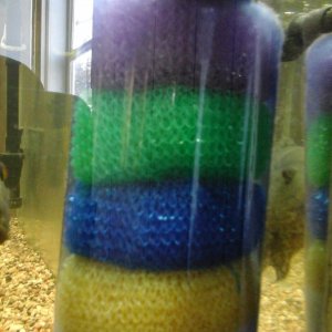 20170316_175649.jpg