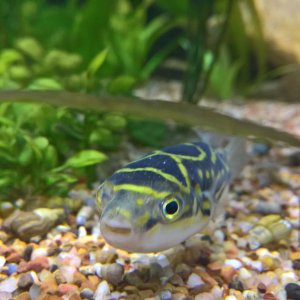 WP_20170319_16_22_57_Pro.jpg