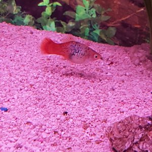 20170322_160853.jpg
