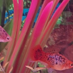 20170322_162533.jpg