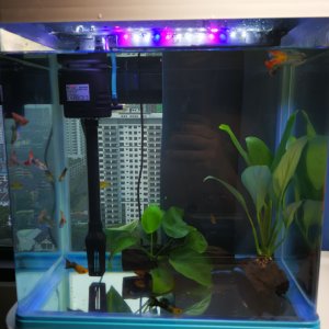10G Tank.jpg