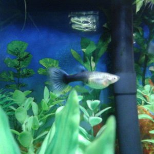 20170323_090845.jpg