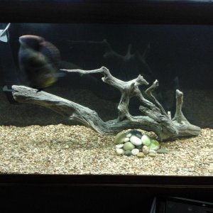 20170405_201924.jpg