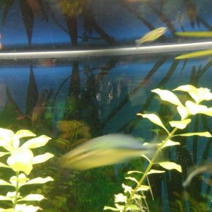 20170412_130009.jpg