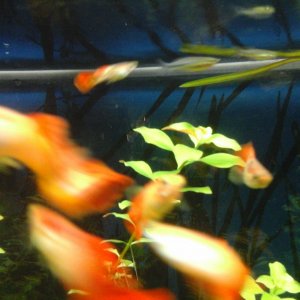 20170412_130019.jpg