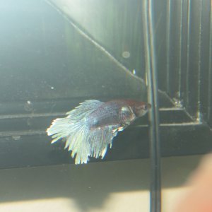 IMG_5368.JPG