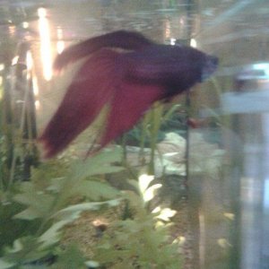 20160206_081308.jpg