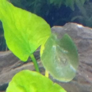 20170423_130340.jpg